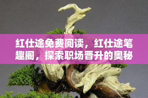 红仕途免费阅读，红仕途笔趣阁，探索职场晋升的奥秘