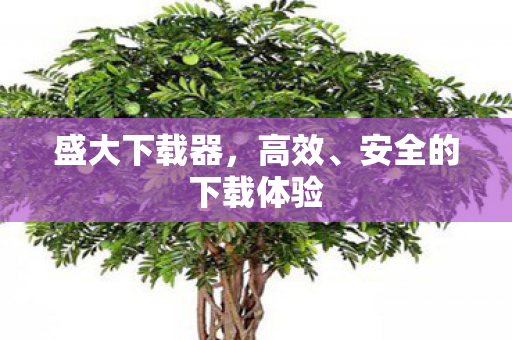 盛大下载器，高效、安全的下载体验