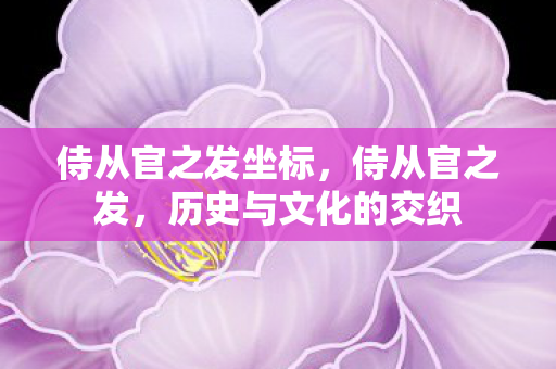 侍从官之发坐标，侍从官之发，历史与文化的交织