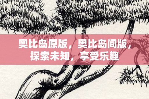 奥比岛原版,奥比岛间版,探索未知,享受乐趣 奥比岛原版,奥比岛间版,探索未知,享受乐趣