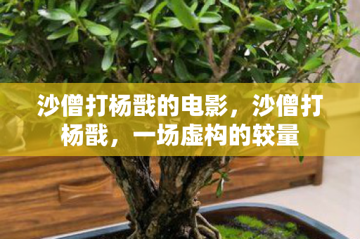 沙僧打杨戬的电影,沙僧打杨戬,一场虚构的较量 沙僧打杨戬的电影,沙僧打杨戬,一场虚构的较量