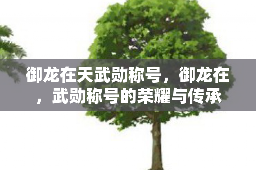 御龙在天武勋称号,御龙在,武勋称号的荣耀与传承 御龙在天武勋称号,御龙在,武勋称号的荣耀与传承