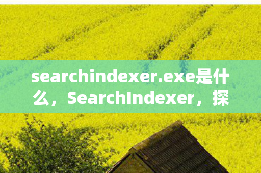 searchindexer.exe是什么，SearchIndexer，探索搜索引擎背后的索引技术