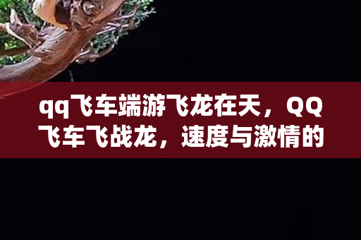 qq飞车端游飞龙在天，QQ飞车飞战龙，速度与激情的终极对决