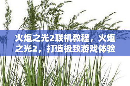 火炬之光2联机教程，火炬之光2，打造极致游戏体验的VLAN联机攻略