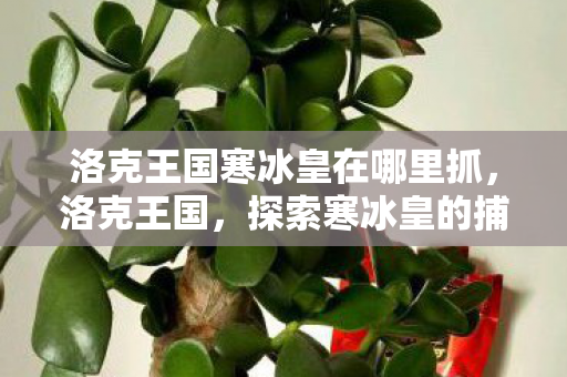 洛克王国寒冰皇在哪里抓，洛克王国，探索寒冰皇的捕捉之旅