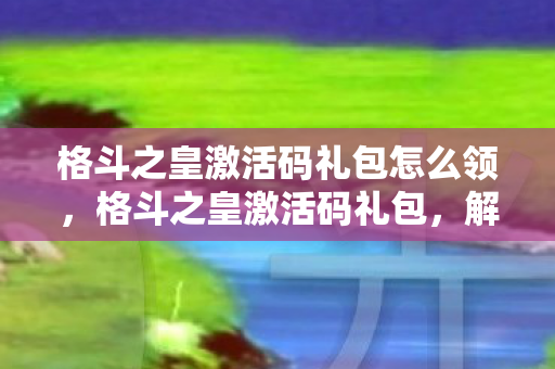 格斗之皇激活码礼包怎么领，格斗之皇激活码礼包，解锁你的战斗潜能