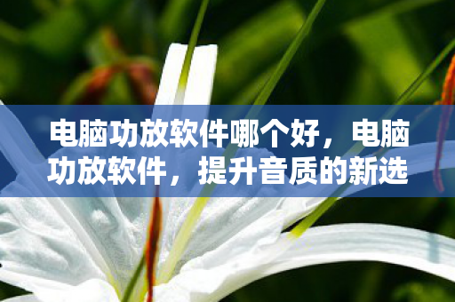 电脑功放软件哪个好，电脑功放软件，提升音质的新选择