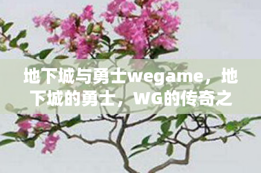 地下城与勇士wegame,地下城的勇士,WG的传奇之旅 地下城与勇士wegame,地下城的勇士,WG的传奇之旅