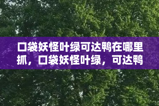 口袋妖怪叶绿可达鸭在哪里抓,口袋妖怪叶绿,可达鸭的奇妙之旅 口袋妖怪叶绿可达鸭在哪里抓,口袋妖怪叶绿,可达鸭的奇妙之旅