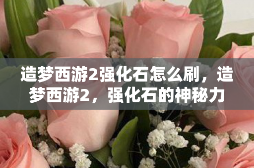 造梦西游2强化石怎么刷,造梦西游2,强化石的神秘力量与打造传奇装备的秘密 造梦西游2强化石怎么刷,造梦西游2,强化石的神秘力量与打造传奇装备的秘密