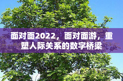 面对面2022,面对面游,重塑人际关系的数字桥梁 面对面2022,面对面游,重塑人际关系的数字桥梁