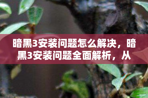 暗黑3安装问题怎么解决,暗黑3安装问题全面解析,从下载到运行的每一个步骤 暗黑3安装问题怎么解决,暗黑3安装问题全面解析,从下载到运行的每一个步骤