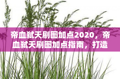 帝血弑天刷图加点2020,帝血弑天刷图加点指南,打造最强战斗力的关键 帝血弑天刷图加点2020,帝血弑天刷图加点指南,打造最强战斗力的关键