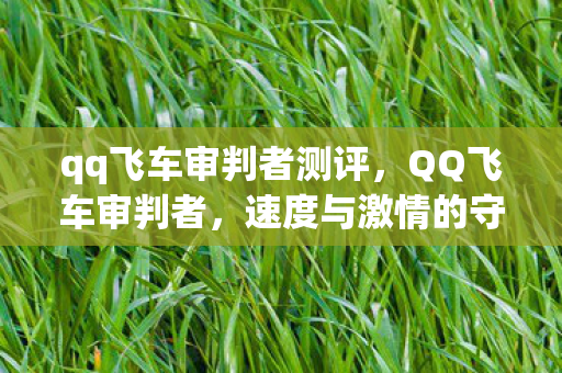 qq飞车审判者测评，QQ飞车审判者，速度与激情的守护者