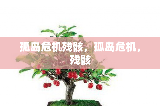 孤岛危机残骸,孤岛危机,残骸 孤岛危机残骸,孤岛危机,残骸