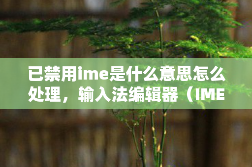 已禁用ime是什么意思怎么处理，输入法编辑器（IME）禁用背后的故事，挑战与机遇共存