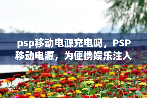 psp移动电源充电吗，PSP移动电源，为便携娱乐注入持久动力
