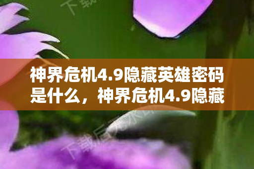 神界危机4.9隐藏英雄密码是什么,神界危机4.9隐藏英雄密码揭秘 神界危机4.9隐藏英雄密码是什么,神界危机4.9隐藏英雄密码揭秘