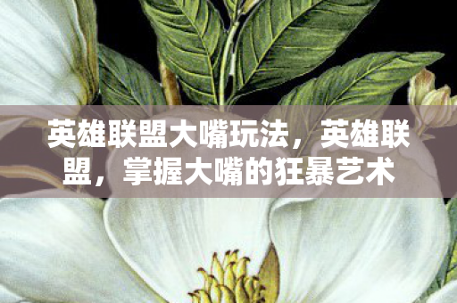 英雄联盟大嘴玩法，英雄联盟，掌握大嘴的狂暴艺术