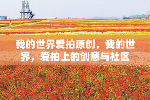 我的世界爱拍原创，我的世界，爱拍上的创意与社区