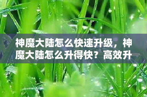 神魔大陆怎么快速升级，神魔大陆怎么升得快？高效升级攻略大放送！