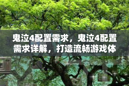 鬼泣4配置需求，鬼泣4配置需求详解，打造流畅游戏体验