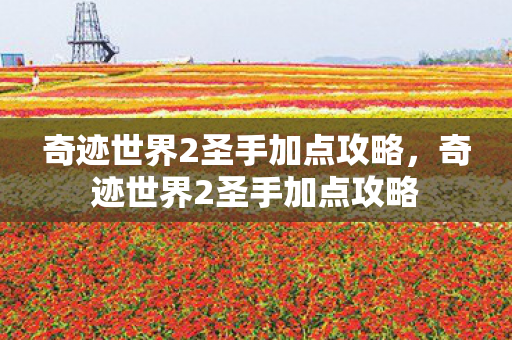 奇迹世界2圣手加点攻略,奇迹世界2圣手加点攻略 奇迹世界2圣手加点攻略,奇迹世界2圣手加点攻略