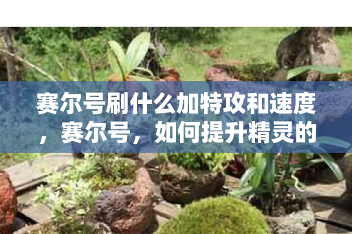 赛尔号刷什么加特攻和速度，赛尔号，如何提升精灵的特攻与速度