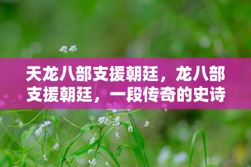 天龙八部支援朝廷，龙八部支援朝廷，一段传奇的史诗