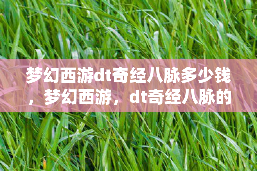 梦幻西游dt奇经八脉多少钱,梦幻西游,dt奇经八脉的奥秘与探索 梦幻西游dt奇经八脉多少钱,梦幻西游,dt奇经八脉的奥秘与探索