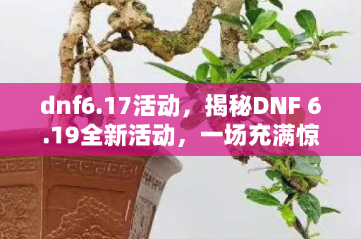 dnf6.17活动，揭秘DNF 6.19全新活动，一场充满惊喜与挑战的盛宴即将开启！