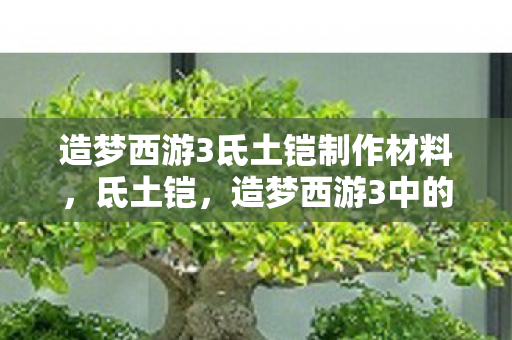 造梦西游3氐土铠制作材料，氐土铠，造梦西游3中的神秘铠甲