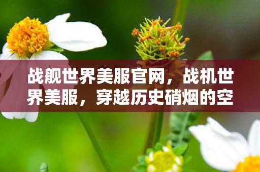 战舰世界美服官网，战机世界美服，穿越历史硝烟的空中对决