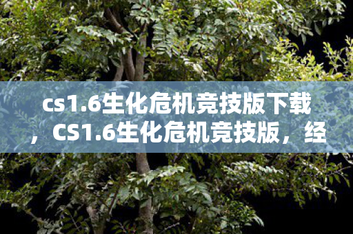 cs1.6生化危机竞技版下载，CS1.6生化危机竞技版，经典与创新的完美结合