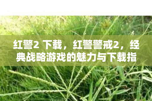 红警2 下载，红警警戒2，经典战略游戏的魅力与下载指南