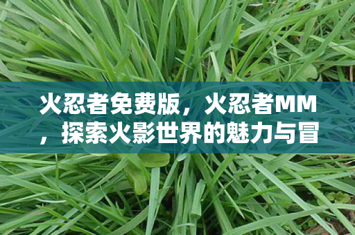 火忍者免费版，火忍者MM，探索火影世界的魅力与冒险