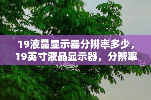 19液晶显示器分辨率多少，19英寸液晶显示器，分辨率的奥秘与选择指南