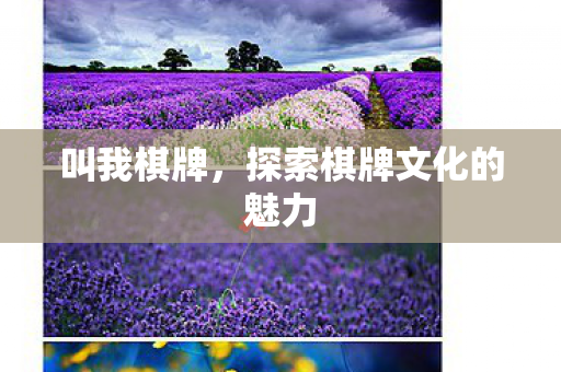 叫我棋牌，探索棋牌文化的魅力