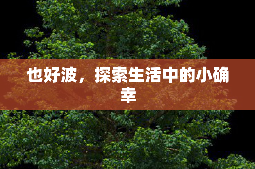 也好波,探索生活中的小确幸 也好波,探索生活中的小确幸