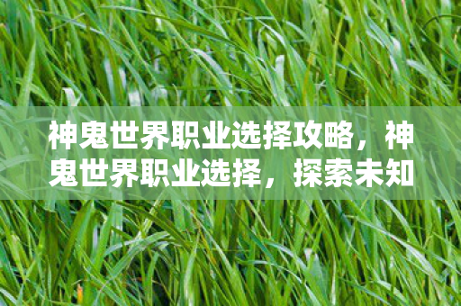神鬼世界职业选择攻略，神鬼世界职业选择，探索未知，挑战极限
