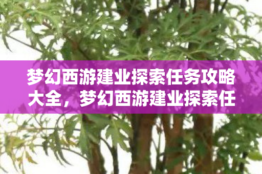 梦幻西游建业探索任务攻略大全，梦幻西游建业探索任务攻略