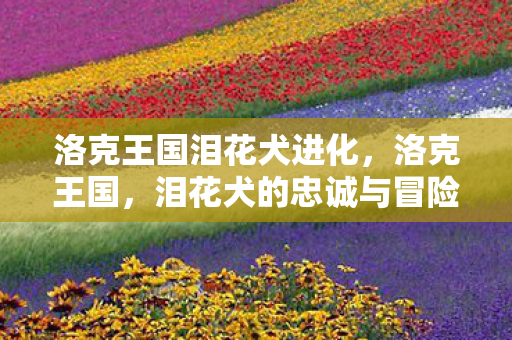 洛克王国泪花犬进化,洛克王国,泪花犬的忠诚与冒险 洛克王国泪花犬进化,洛克王国,泪花犬的忠诚与冒险