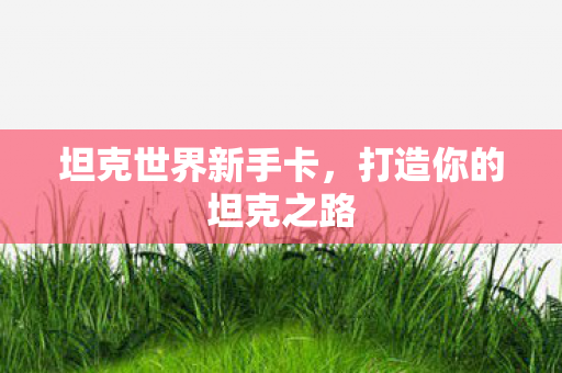 坦克世界新手卡,打造你的坦克之路 坦克世界新手卡,打造你的坦克之路