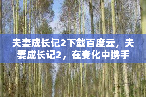 夫妻成长记2下载百度云，夫妻成长记2，在变化中携手前行