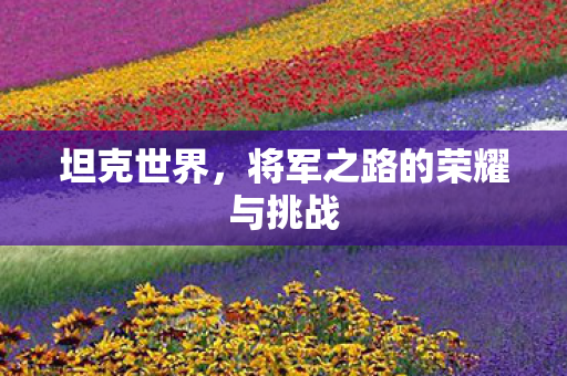 坦克世界，将军之路的荣耀与挑战