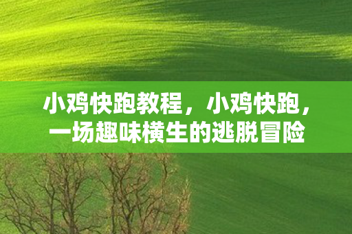 小鸡快跑教程，小鸡快跑，一场趣味横生的逃脱冒险