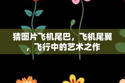 猜图片飞机尾巴，飞机尾翼，飞行中的艺术之作