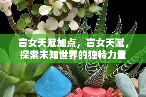 盲女天赋加点，盲女天赋，探索未知世界的独特力量