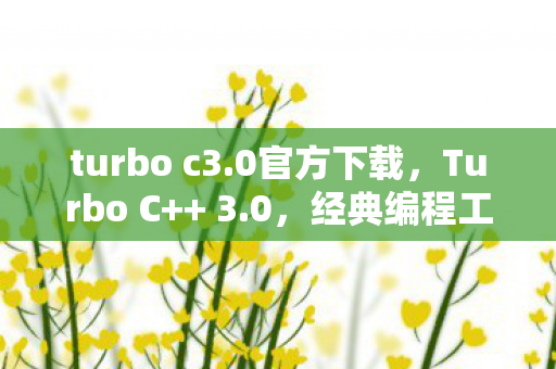 turbo c3.0官方下载，Turbo C++ 3.0，经典编程工具的回忆与探索